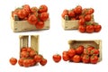 Fresh tomatoes in a wooden crate Royalty Free Stock Photo