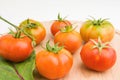 Fresh Tomatoes On Wooden Plate Royalty Free Stock Photo