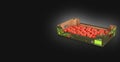 Fresh tomatos in box on black gradient background and place for text 3d