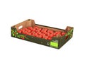 Fresh tomatos in box without shadow on white background 3d
