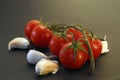 Fresh tomatos and garlic Royalty Free Stock Photo