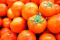 Fresh tomatos Royalty Free Stock Photo