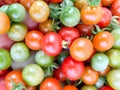 Fresh tomatos in row food concept Royalty Free Stock Photo