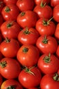 Fresh tomatos for sale in a market