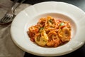 Tortellini with Tomato Sauce and Mozzarella Cheese Royalty Free Stock Photo