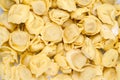 Fresh tortellini pasta Royalty Free Stock Photo