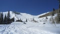 Fresh Tracks in Utah Royalty Free Stock Photo