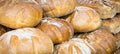 Fresh traditional loaves of wheat or rye bread on stall or in bakery