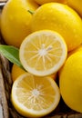 Fresh from Tree, Meyer Lemons in a Basket Royalty Free Stock Photo