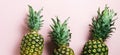 Fresh tree pineapple on pink background. Summer concept. Creative flat lay with copy space. Royalty Free Stock Photo