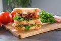 Fresh Turkey Club Sandwich Royalty Free Stock Photo