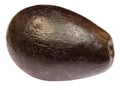 Fresh tropical avacado fruit