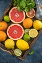 Fresh tropical citrus fruits Orange grapefruit lemon lime