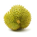 Fresh tropical durian fruit