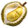 Fresh tropical Durian fruit isolated on white background Royalty Free Stock Photo