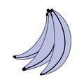 Fresh tropical fruit banana isolated white background Royalty Free Stock Photo