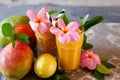 Fresh tropical fruit smoothie mango juice with leaves and fruits