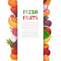 Fresh tropical fruits in borders cartoon vector illustration. Royalty Free Stock Photo