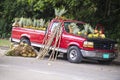 Red pickup filled with fresh tropical fruits for sale