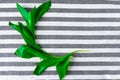 Fresh tropical green leaves on towel in strip background