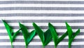 Fresh tropical green leaves on towel in strip background