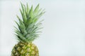 Fresh tropical pineapple isolated on a white background. Space for text Royalty Free Stock Photo