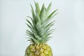 Fresh tropical pineapple isolated on a white background. Space for text Royalty Free Stock Photo