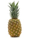 fresh tropical ripe pineapple isolated on white background Royalty Free Stock Photo