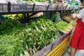 Fresh tropical vegetables on shelves in supermarket. Supermarket shelf, organic herbs on display