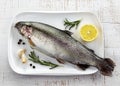 Fresh trout Royalty Free Stock Photo