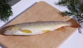 Fresh trout Royalty Free Stock Photo