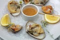 Fresh Tua Tua Clams on Plate in New Zealand