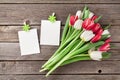 Fresh tulip flowers bouquet and photo frames Royalty Free Stock Photo