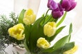 Fresh tulip flowers bouquet in yellow and purple tulips Royalty Free Stock Photo