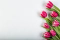 Fresh tulip flowers on a white table