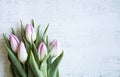 Fresh tulips bouquet on white wood table, copy space for text on right side, horizontal image