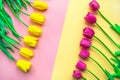 Fresh tulips flowers on delicate pastel light pink and yellow background. Valentine`s Day, Mother`s or Woman`s Day greeting car Royalty Free Stock Photo