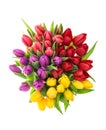 Fresh tulips Spring flowers red pink yellow purple