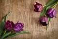 Fresh tulips from two corners Royalty Free Stock Photo