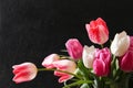 Fresh tulips in a vase on a black background Royalty Free Stock Photo