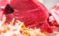 Fresh tuna fish on market display Royalty Free Stock Photo