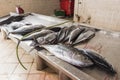 Fresh tuna Fishmarket Sal Rei Cape Verde Royalty Free Stock Photo