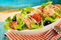 Fresh tuna salad with lettuce, olives and tomato Royalty Free Stock Photo