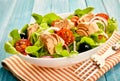 Fresh tuna salad with lettuce, olives and tomato Royalty Free Stock Photo