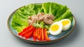 Fresh Tuna Salad Plate with Boiled Eggs, Lettuce, and Carrots Royalty Free Stock Photo