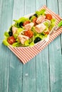 Fresh tuna salad on a summer picnic table Royalty Free Stock Photo