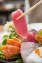 Fresh Tuna sushi Royalty Free Stock Photo