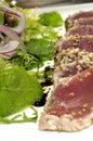 Fresh tunaFresh seared tuna Royalty Free Stock Photo