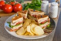 Fresh turkey club sandwich Royalty Free Stock Photo