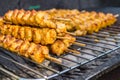 Fresh Turkey skewers  on a charcoal grill Royalty Free Stock Photo